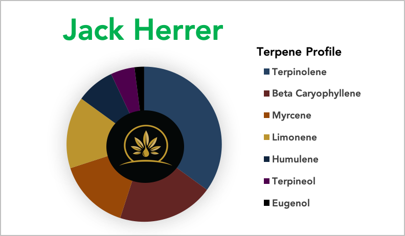 Jack Herer - Terpene Strain Profile | Shop | CannTerp