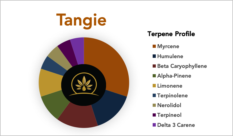 XYZページ【30ml】Tangie／テルペン香料 Tangie - Terpene Strain Profile | Shop | CannTerp – CannTerp