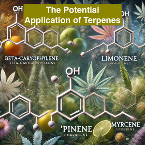 Images showing Terpene Molecules and images of plants 