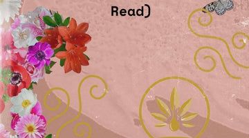 Beyond Terpenes: Breakthrough Study Finds New Contributors to Flower Aromatics (5 minute read)